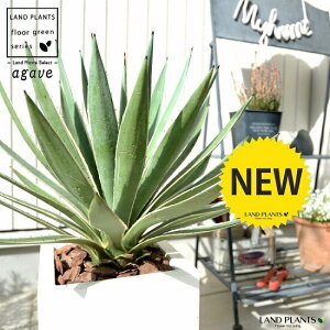 AKxiFnNZREj zCg t@Co[ L[u^ 픫io[N`bvj A   F p lp ^ ϗtA  AG E[c JtHjA 