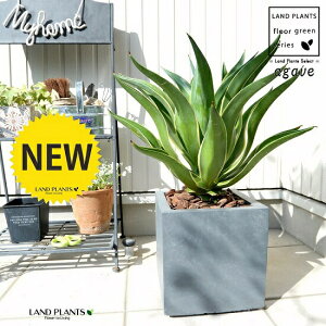 AKx (xlYG) DF L[u^ 픫io[N`bvj A  D O[ p lp ^ ϗtA  AG E[c JtHjA 㗖 AKy AKF