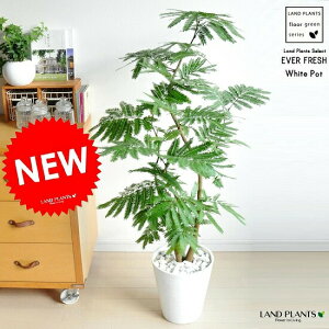 Go[tbV@F ZA[g@˂ނ̖ `@Ȃ@lmL AJTlmL@}@@}ȁ@hV̓@|Cg@ϗtA