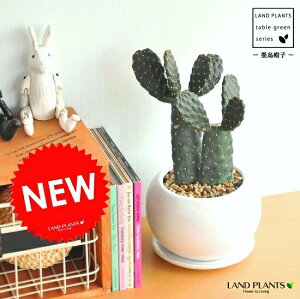 T{einGXqFX~G{Vj 2F } F ی^ 픫 RpNgȁET{eEZEXET{eEoUCT{eEJN^XEC4JN^XEnXq@hV̓@|Cg