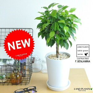 xW~igsA[j F X^ g[픫 xW~i@X^_[hdā@LOn[X^h@V_KW}@{[^@xW~S