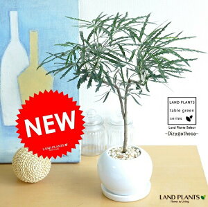 new!!@AA@Ȃdā@Fی`ɐA@fBWSZJyyMt_̂zyyMt_̂zyyMt_bZzyyMt_bŹz~WoAA@mRMcf@E