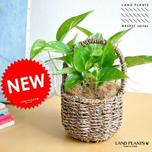 |gX oXPbg IESJY@鐫̐A|gX@TgC@hV̓@|Cg@ϗtA 