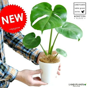 yz Xe 4 F vX`bN X^[@tBhzEegXy}@TgCJY@zECVE@fVIT@fVI[T@hV̓@|Cg