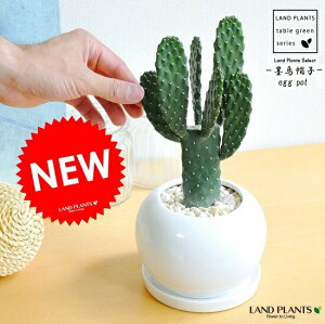 T{einGXqFX~G{Vj 1F } F ی^ 픫@1F@RpNgȁ@T{e@ZEX@T{e@oUCT{e@JN^X@C4JN^XEnXq@hV̓@|