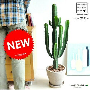 new!!@T{e@_t@FGbO|bgA@[zrA@A@_CEJN@JN^X@C4JN^X@hV̓@|Cg@ϗtA