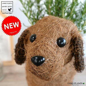 [Y}[ 4 × oXPbg MTCY 2F A c c   n[u }lE R Ĉ RRVt@Co[ ϗtA 