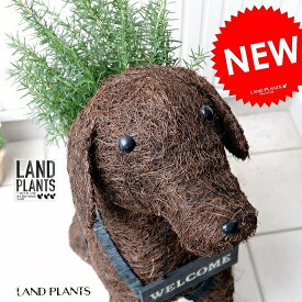 楽天市場 玄関 ウェルカムプレート 花 観葉植物 花 ガーデン Diy の通販