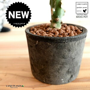 yAؔz F X|bg V_[^ fĔieRb^j yAؔE΁Elbgtz y̔̔zA f  픫  c c Aؔ MOSSPOT  ubN  D O