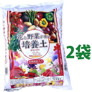 ԂƖ؂ |{y 10L i2܁j i엿jy py py |{y c{|