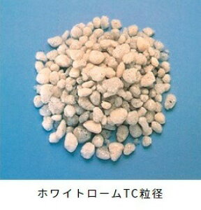 zCg[ TC ij΃p[Cgj 50L yǍ y\Ǎ ʋC ې z  Ǘpy ⏕py |{y py y py 󃌃I