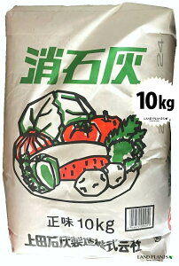 ΊD 10kg iԉʎEؐp엿j JVE JVE[ _y𒆘a AJ 엿 ǔ Ĕ H  cΊD 