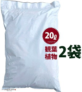 ̓yiϗtApj 20L i2܁j y py py |{y LAND PLANTSIły yvpz ORIGINAL