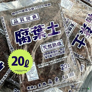 ty 20L i쌧̗t100gpjǗpy ⏕py yǍ ͔ 엿 VR VR |{y py y py R̔엿   ӂӂ̓y zJzJ̓y JugV Jug