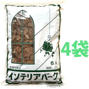 CeAo[N 6L i2STCYji4܁j ̔ o[N`bv o[N Ebh`bv }`O OhJo[ p  ؂̔ VR VRf ύ ̃`bv aJ