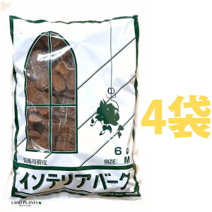 CeAo[N 6L iMTCYji4܁j ̔ o[N`bv o[N Ebh`bv }`O OhJo[ p  ؂̔ VR VRf ύ ̃`bv aJ