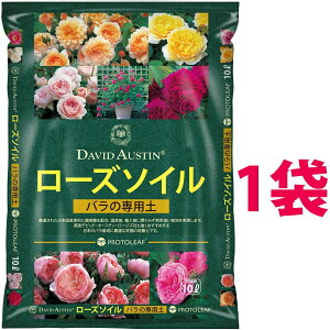 frbhEI[X` [Y\C 10L i1܁j iCObV[YɍœKȃVsj frbhI[X` DAVID AUSTIN o̓y KN̓y KN o