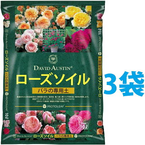 frbhEI[X` [Y\C 10L i3܁j iCObV[YɍœKȃVsj frbhI[X` DAVID AUSTIN o̓y KN̓y KN o