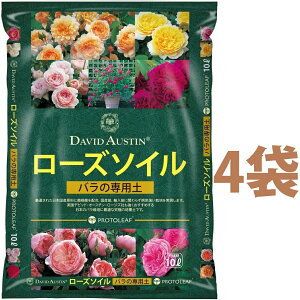 frbhEI[X` [Y\C 10L i4܁j iCObV[YɍœKȃVsj frbhI[X` DAVID AUSTIN o̓y KN̓y KN o