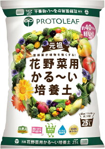 Ԗؗp ` |{y 25L ij^т₷x_K[fɍœK y  |{y py ppy nMO nMOp̓y yy 邢y yy