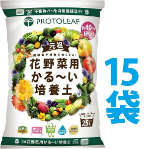 yz375L Ԗؗp ` |{y 25L i15܁j ۈ牀 ct ۈ珊 ǂ w wZ |  A A Ԓd Ԃ  