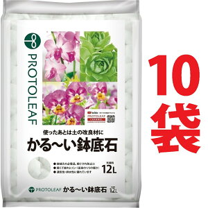 `  12L i10܁j i1000ȏŔAAہEL̑fށj