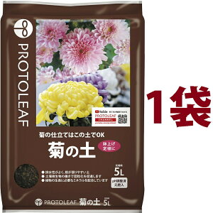 e̓y 5L i1܁j ie͔̍|͂̓yOKIj