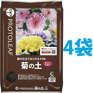 e̓y 5L i4܁j ie͔̍|͂̓yOKIj