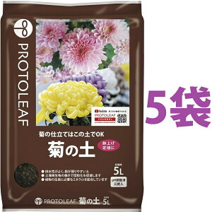 e̓y 5L i5܁j ie͔̍|͂̓yOKIj