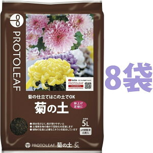 e̓y 5L i8܁j ie͔̍|͂̓yOKIj