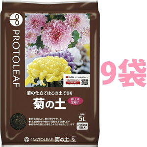 e̓y 5L i9܁j ie͔̍|͂̓yOKIj