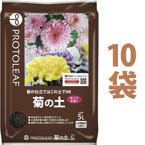 e̓y 5L i10܁j ie͔̍|͂̓yOKIj