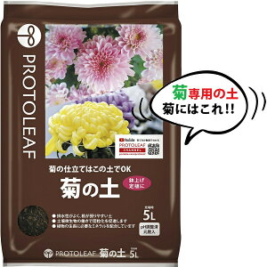 e̓y 5L ie͔̍|͂̓yOKIj