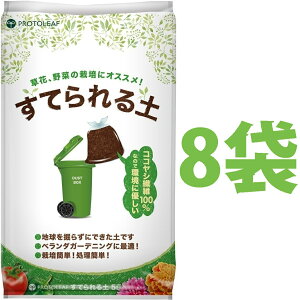 }Vp̓y i8܁j Ăy 5L iAŘȂ̂ŔR邲݂ƂĂĂj