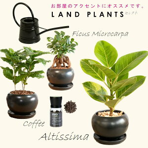 �y�Z���N�g�ϗt 5�_�Z�b�g�{��M3���z �E�A���e�V�[�} ����� 1�_ �E�K�W���}�� ����� 1�_ �E�R�[�q�[ ����� 1�_ �Eevo�A�����C�엿 1�_ �EBLACK �W���[��1.0L 1�_ 81538