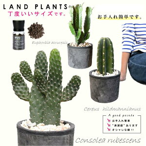 yT{eZNg 4_Zbgz EX~G{VinGXqj F MOSSPOT 1_ E_CEJNi_tj F MOSSPOT 1_ ET{eiSʊpj F MOSSPOT 1_ EevoAC엿 1_