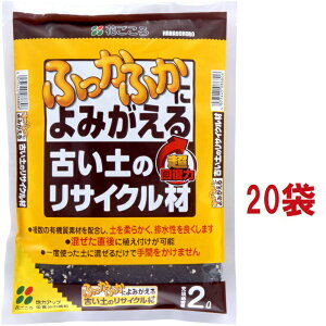 yP[X̔FC/T20z ӂӂɂ݂ ÂỹTCN 2L i20ܓj