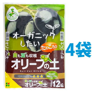 I[u̓y 12L i4܁j iJVEEԋʓyERRibct@Co[ zj