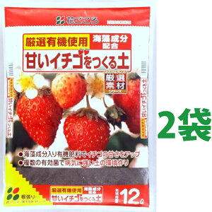 甘いイチゴをつくる土 12L (2袋) いちご イチゴ 苺