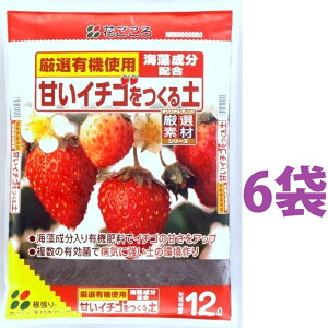 甘いイチゴをつくる土 12L (6袋) いちご イチゴ 苺
