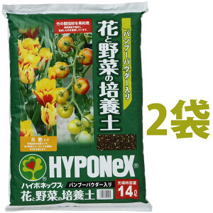 ԂƖ؂̔|{you[pE_[@|{y@14L i2܁j