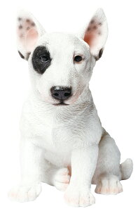 ̒u iueAqj Ck 14078 ueA eA q hbOI[ig I[ig  Aj} }XRbg K[f K[fjO K[fIuWF IuWF