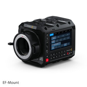 y\tz BlackmagicDesign Blackmagic PYXIS 12K ubN}WbNfUC bmd sNVX pyxis 12k