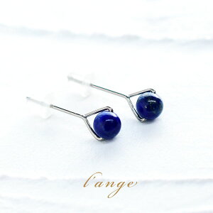 sXY `^sAX AM[Ή fB[X 12a VR lCr[ { X^bhsAX