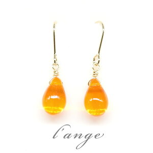 sAX AM[Ή IW KX̎ K16gp S[h sAX tbN `FRr[Y