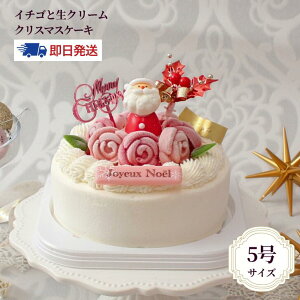  NX}XP[L 2025uWG[Yx[v WF NX}X ⓀP[L C`S   fR[VP[L p[eB[ l q o KN 5