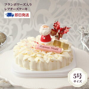  NX}XP[L 2025 A`[YP[LuzCg[YvWF NX}X ⓀP[L `[YP[L fR[VP[L p[eB[ l q o KN 5