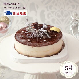 送料無料 クリスマスケーキ 2025「ティラミス」 ランジェラ ティラミス チーズ デコレーションケーキ バースデーケーキ 大人 子供 プレゼント 5号