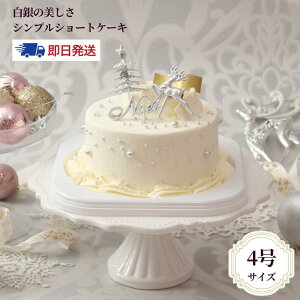  NX}XP[L 2025 V[gP[LuNoelv WF NX}X ⓀP[L C`S   fR[VP[L p[eB[ l q 4