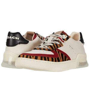 R[` Xj[J[ fB[X  uh R 傫TCY Coach